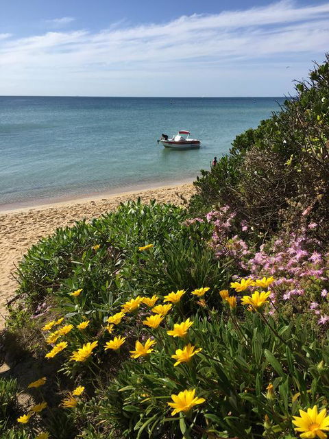 Quiet, Luxurious Guest House - Couples Retreat - Accommodation Broadbeach 2