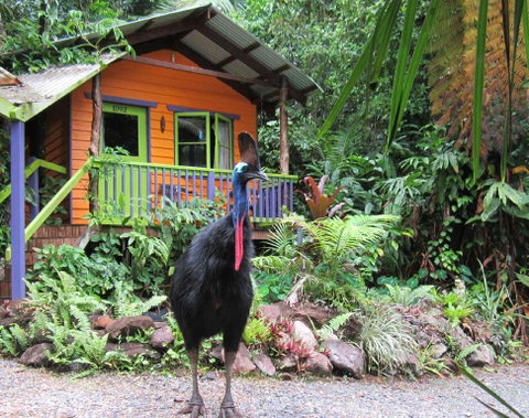 Rainforest Hideaway - Accommodation Broadbeach 0