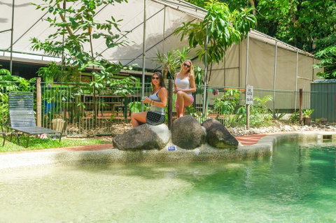 Safari Lodge - Accommodation Broadbeach 2