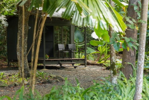 Safari Lodge - Accommodation Broadbeach 3
