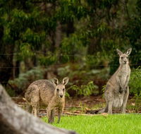 Secura Lifestyle Countryside Kalaru - Accommodation Broadbeach
