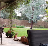 Sue's Sanctuary - Accommodation Broadbeach
