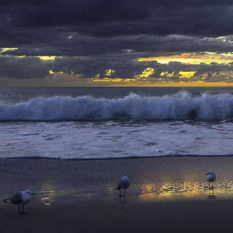 Surfers Horizons - Accommodation Broadbeach 3