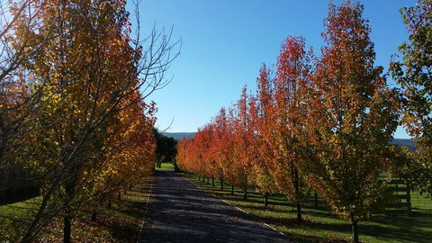 Tamar Valley Farm Stay - Accommodation Broadbeach 3