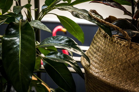 Alabama Hotel Hobart - Accommodation Broadbeach 25