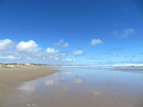 Arthur Riverfront And Sea Lodge Downstream - Accommodation Broadbeach 24