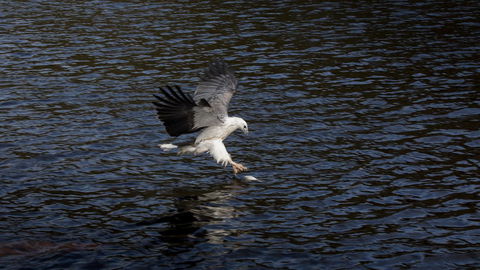 Arthur Riverfront And Sea Lodge Downstream - Accommodation Broadbeach 38