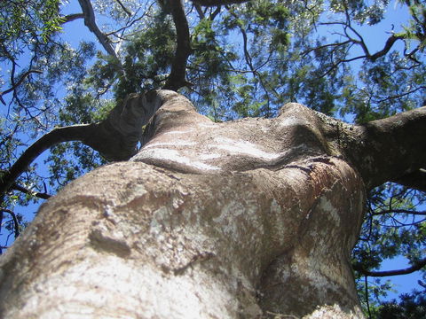 Arthur Riverfront And Sea Lodge Downstream - Accommodation Broadbeach 32