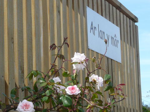 Ar Lan Y Mor - Accommodation Broadbeach 12