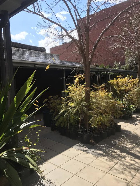 CROWN CENTRAL BUSINESS DISTRICT MOTEL - NO UNDER 18s - Accommodation Broadbeach 15