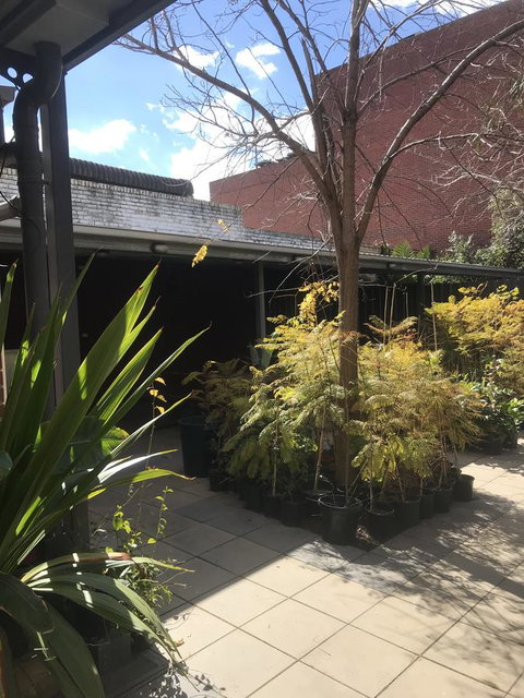 CROWN CENTRAL BUSINESS DISTRICT MOTEL - NO UNDER 18s - Accommodation Broadbeach 21