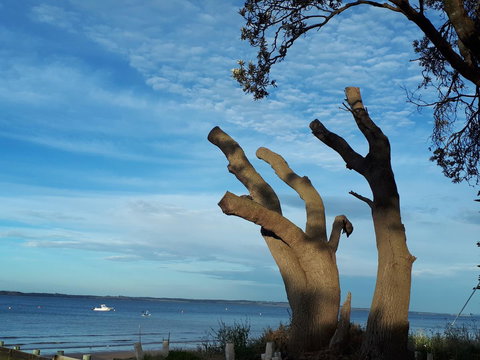 Apartments In Phillip Island Towers - Block C - Accommodation Broadbeach 10