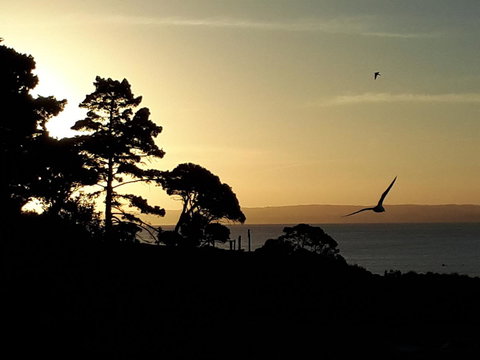 Apartments In Phillip Island Towers - Block C - Accommodation Broadbeach 19