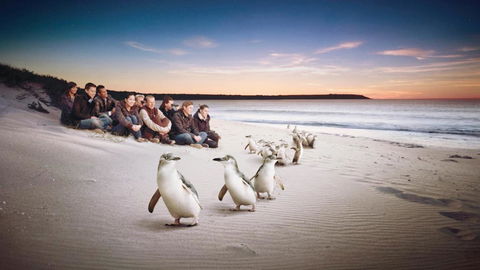 C-Scape Water Front Apartment - Accommodation Broadbeach 16