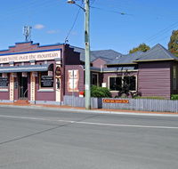 The Bears Went Over The Mountain - Accommodation Broadbeach