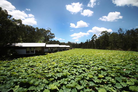 The Boathouses At Leaves & Fishes - Accommodation Broadbeach 0