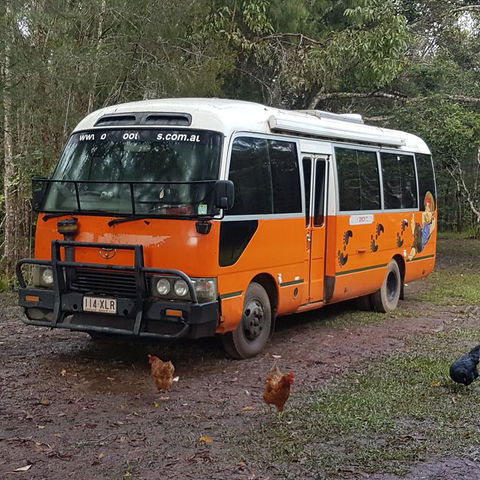 The Cabin - Accommodation Broadbeach 3
