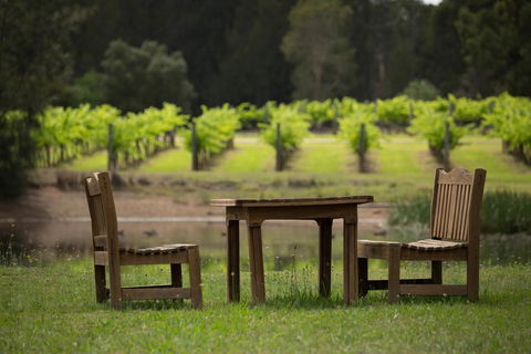 The Carriages Boutique Hotel And Vineyard - Accommodation Broadbeach 2