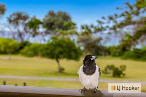 TRADEWINDS 1 - Accommodation Broadbeach 1