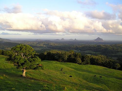 Maleny QLD Accommodation Broadbeach