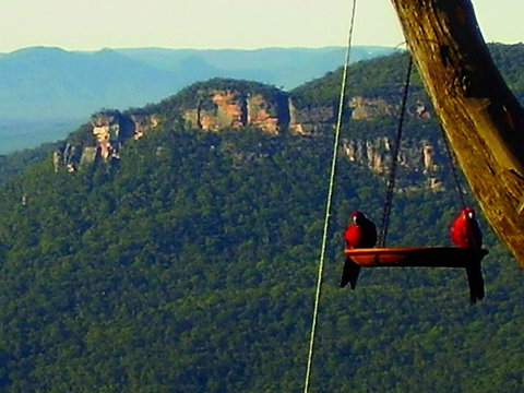 Valley Of The Waters B&B - Accommodation Broadbeach 3