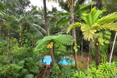 Wait A While Daintree - Accommodation Broadbeach 3