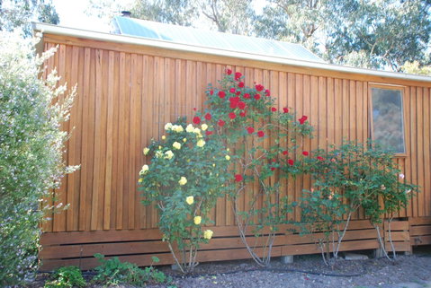 Bluegum Ridge Cottages - Accommodation Broadbeach 23