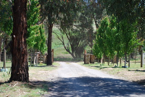 Bluegum Ridge Cottages - Accommodation Broadbeach 3