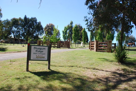 Bluegum Ridge Cottages - Accommodation Broadbeach 1