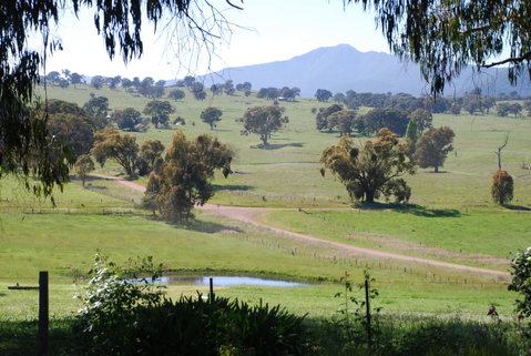 Bluegum Ridge Cottages - Accommodation Broadbeach 31