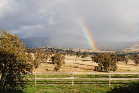 Bluegum Ridge Cottages - Accommodation Broadbeach 32