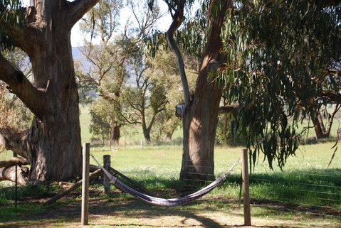 Bluegum Ridge Cottages - Accommodation Broadbeach 28