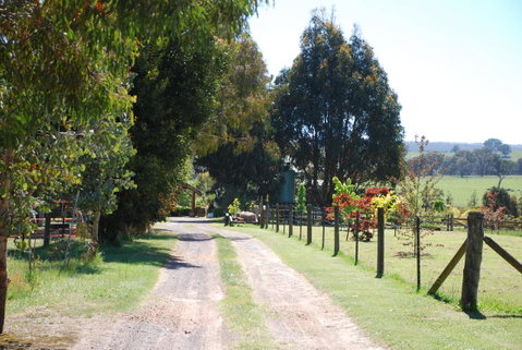 Bluegum Ridge Cottages - Accommodation Broadbeach 4