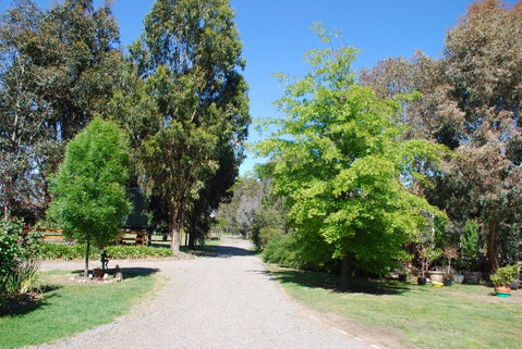 Bluegum Ridge Cottages - Accommodation Broadbeach 5