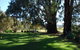 Bluegum Ridge Cottages - thumb 29