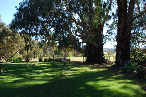 Bluegum Ridge Cottages - Accommodation Broadbeach 29