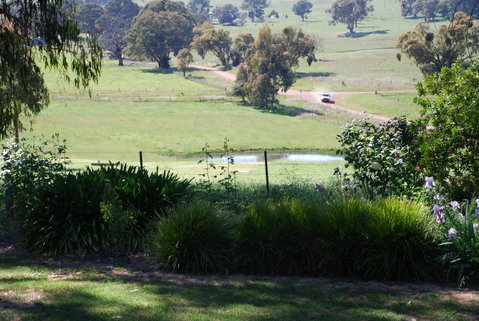 Bluegum Ridge Cottages - Accommodation Broadbeach 30