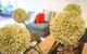Nest-Apartments On QV - thumb 8