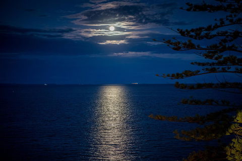 The Sebel Brisbane Margate Beach - Accommodation Broadbeach 31