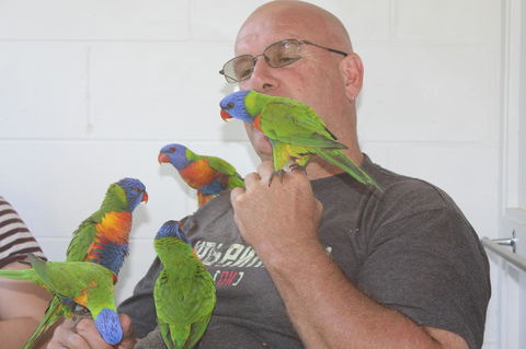 Amaroo On Mandalay, Magnetic Island - Accommodation Broadbeach 33