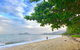 Mango Lagoon Sunbird Retreat - thumb 11