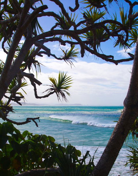Rainbow Bay Backpackers - Accommodation Broadbeach 25