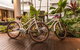 The Reef House Adults Retreat - Enjoy 28 Complimentary Inclusions - thumb 12