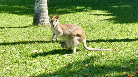Argosy On The Beach - Accommodation Broadbeach 14