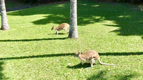 Argosy On The Beach - Accommodation Broadbeach 15