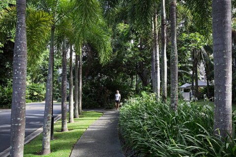 Oasis At Palm Cove - Accommodation Broadbeach 4
