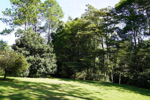 McCarthy Grove Maleny - Accommodation Broadbeach 2