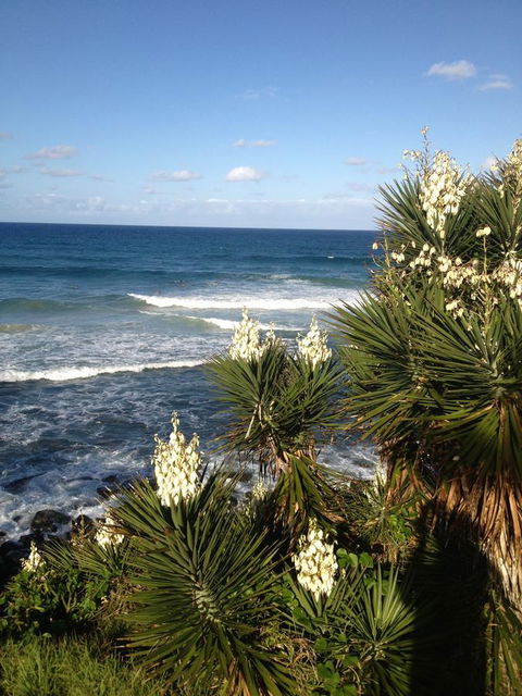 Oceania On Burleigh Beach - Accommodation Broadbeach 23