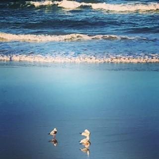Oceania On Burleigh Beach - Accommodation Broadbeach 40
