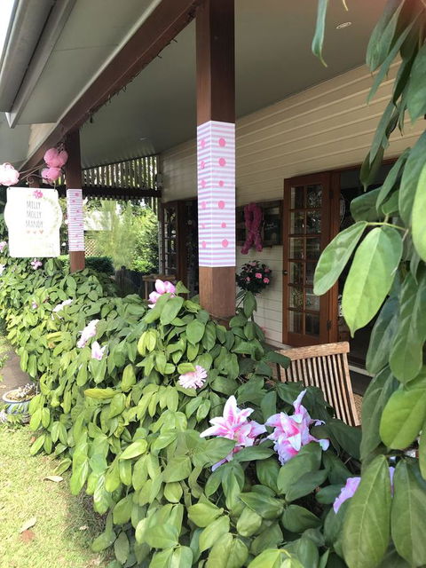 Allumbah Pocket Cottages - Accommodation Broadbeach 3